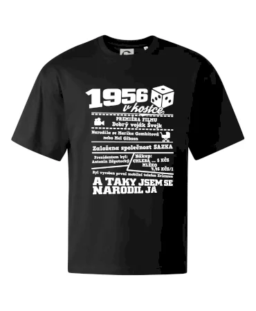 1956 v kostce