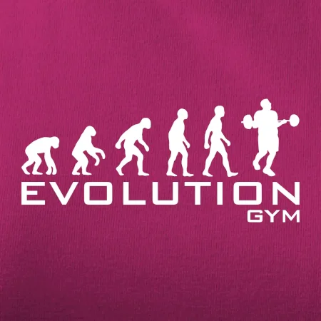 Evoluce Gym
