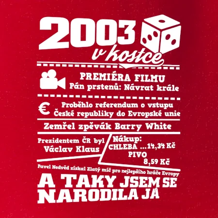 2003 v kostce