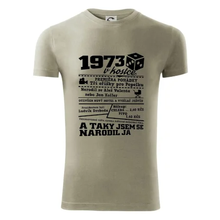 1973 v kostce
