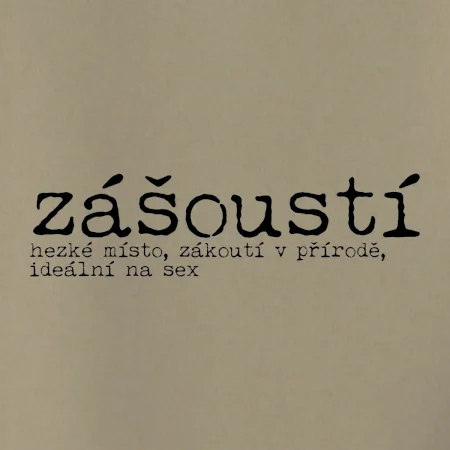 Čeština 2.0 - zášoustí