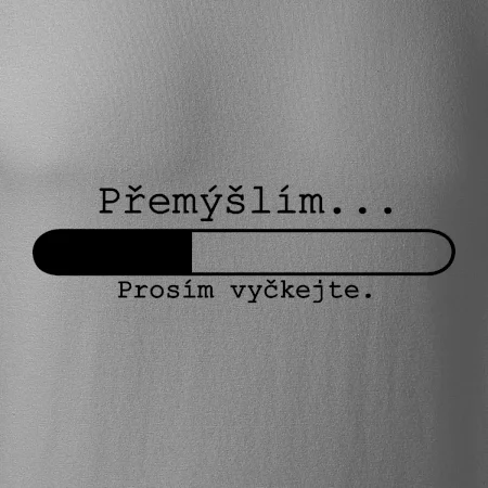 Přemýšlím