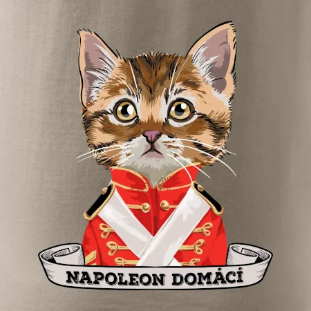 Napoleon domácí kočka