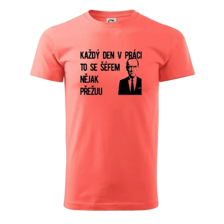 Každý den v práci to se šéfem nějak přežiju