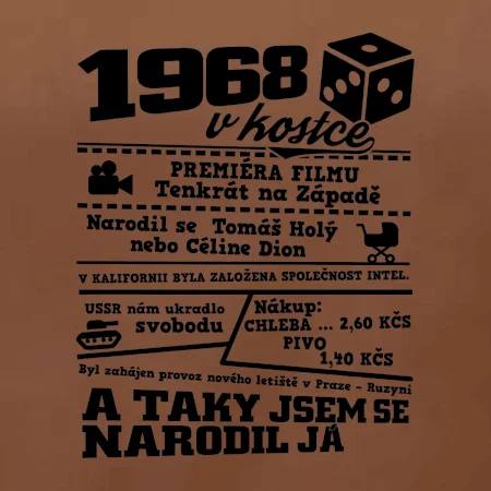 1968 v kostce