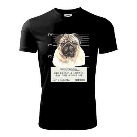 Lump a darebák mopsík