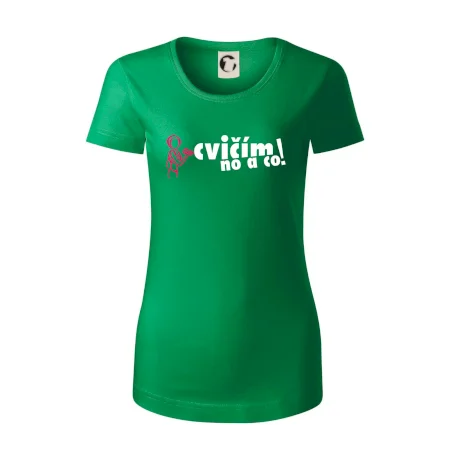 Cvičím no a co!