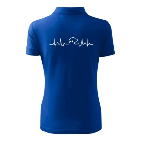 Labrador EKG