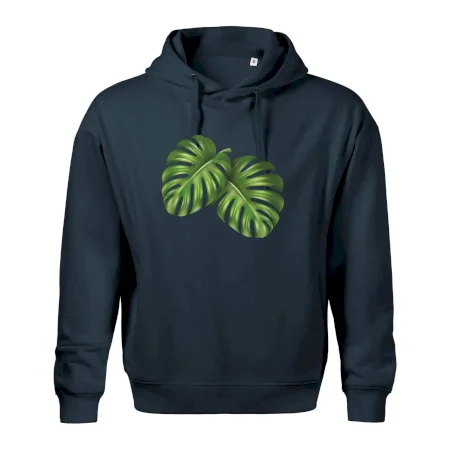 Monstera - dva listy