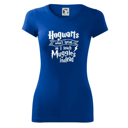 Harry - Hogwarts wasn’t hiring, so I teach Muggles instead