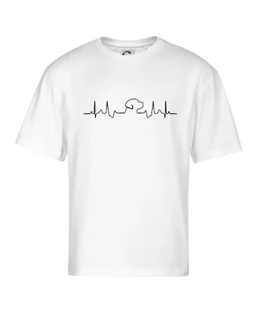 Labrador EKG