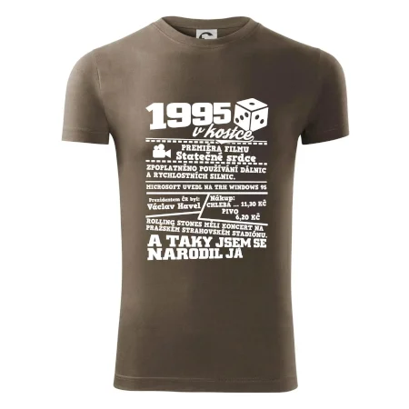 1995 v kostce