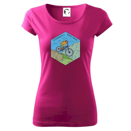 Downhill and free holka