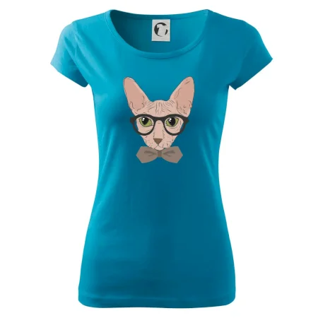 Hipster sphynx