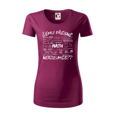 Čemu přesně nerozumíš? Matematika