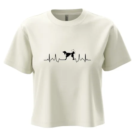 Český strakatý pes EKG