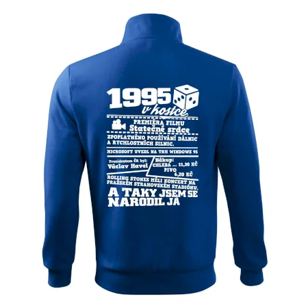 1995 v kostce