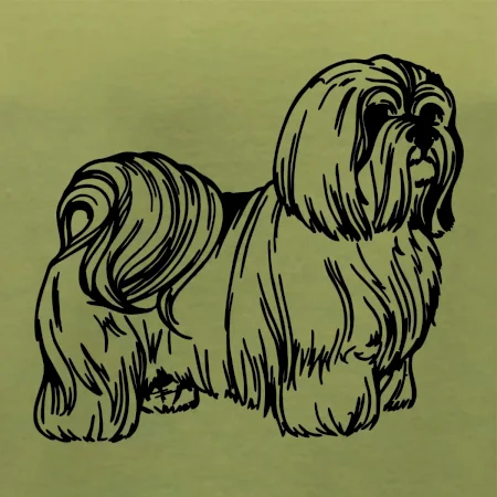 Shih-tzu - chlupatý