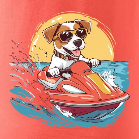 Jack russell teriér na vodním skútru