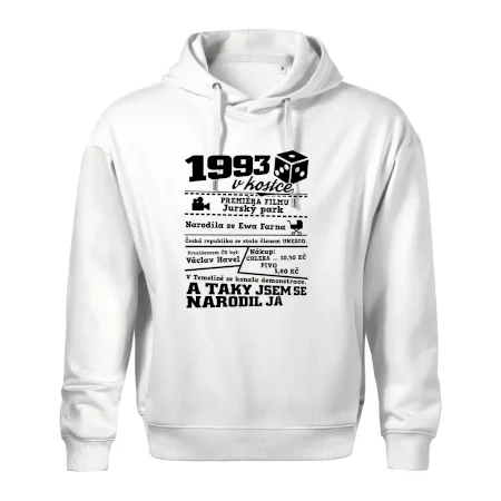 1993 v kostce