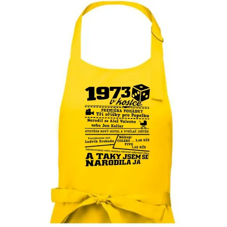 1973 v kostce