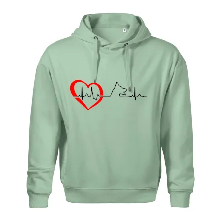 Německý ovčák ekg