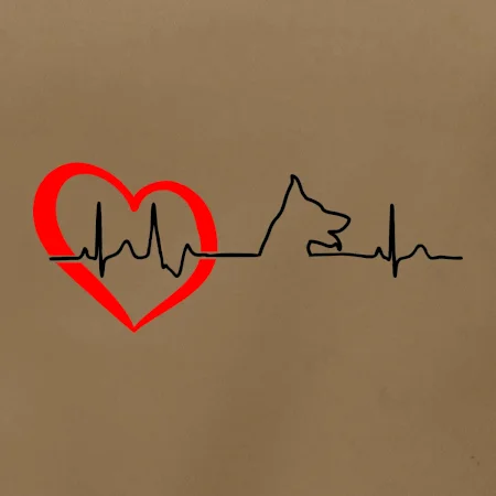 Německý ovčák ekg