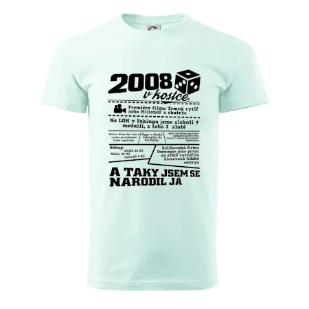2008 v kostce