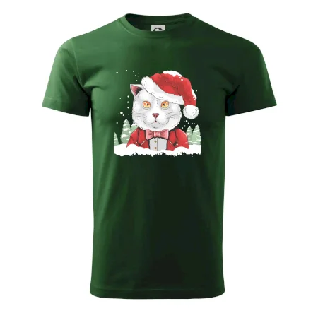 Santa kocour