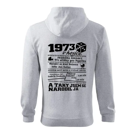 1973 v kostce