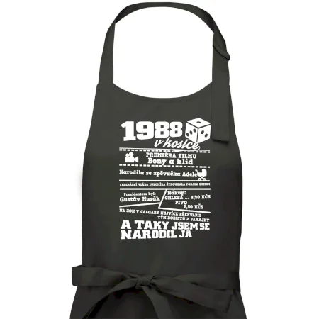 1988 v kostce