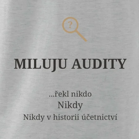 Miluju audity řekl nikdo nikdy