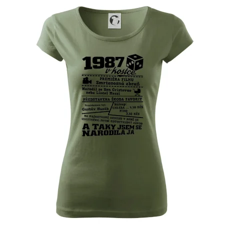 1987 v kostce