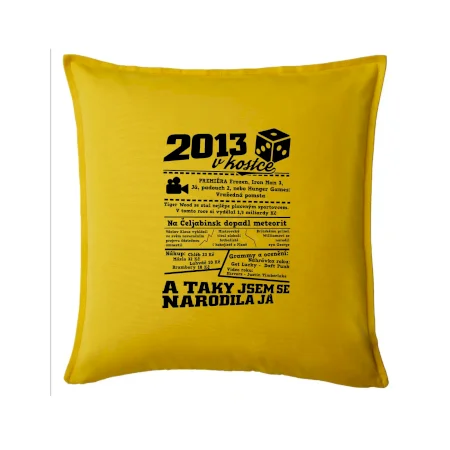 2013 v kostce