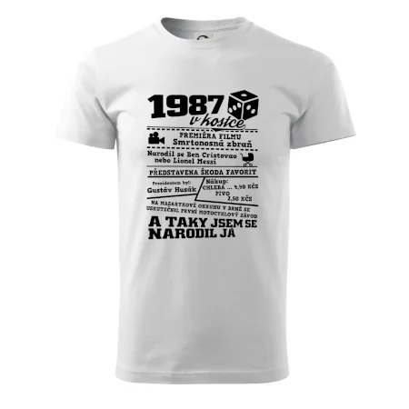 1987 v kostce