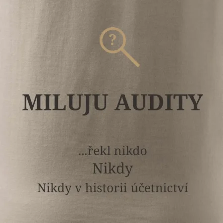 Miluju audity řekl nikdo nikdy