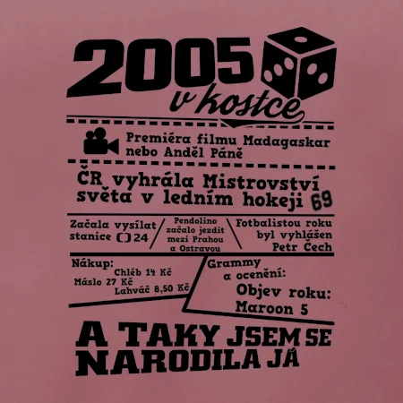 2005 v kostce