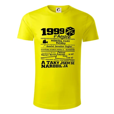 1999 v kostce