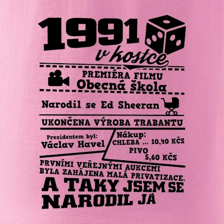 1991 v kostce