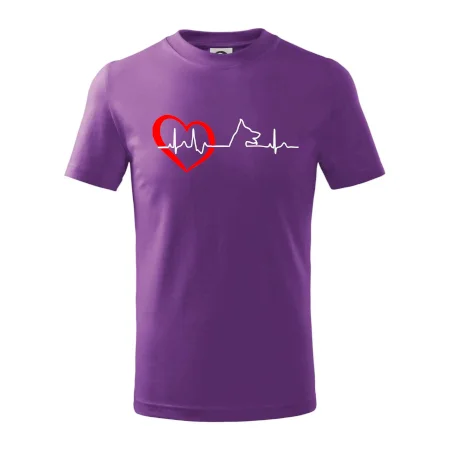 Německý ovčák ekg