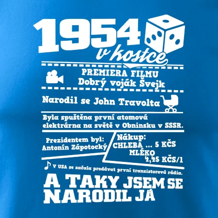 1954 v kostce