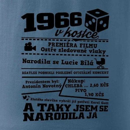 1966 v kostce