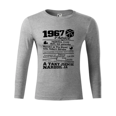 1967 v kostce