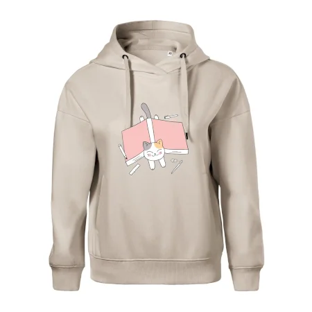 Učení na státnice kočka
