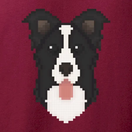 Border kolie Pixel