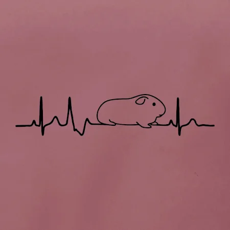 EKG morče