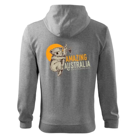 Amazing Australia koala