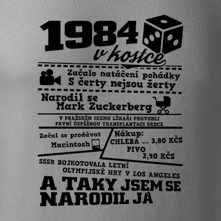 1984 v kostce
