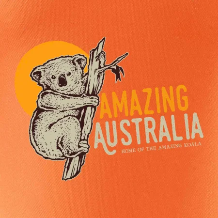 Amazing Australia koala