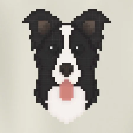 Border kolie Pixel
